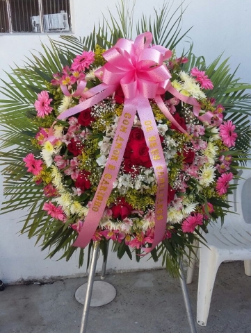 Arranjo
